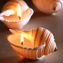 Load image into Gallery viewer, Hunter Gatherer / Seashell Soy Wax Candle / Tonna Shell
