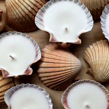 Load image into Gallery viewer, Hunter Gatherer / Seashell Soy Wax Candle / Scallop / Kakadu Plum
