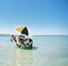Load image into Gallery viewer, BUSINESS &amp; PLEASURE PREMIUM BEACH UMBRELLA-70S PANEL CINQUE - Bohemian Sundays, Business and Pleasure Co., Buy Boho Bohemian Clothing Online Australia, Kivari, Arnhem, Rowie, Will and Bear, W
